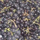 방문농장 이미지