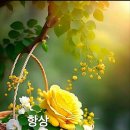 백세시대 이미지