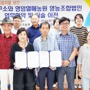 영암열매농원 영농조합법인