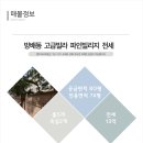 평대빌리지