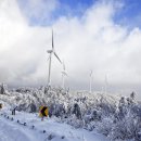 눈꽃회관 이미지