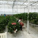 전주전라초등학교 이미지