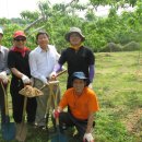 칠성농장 이미지