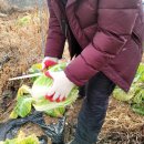 공북2리경로당 이미지