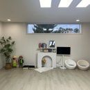 스테이 그로브 이미지