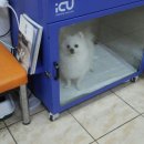 거산동물병원 이미지