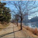 은파호수공원 9-9 이미지