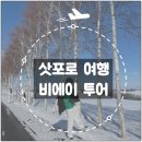 겨울 삿포로 비에이 투어 일정 및 후기