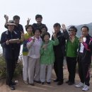 대양초등학교 이미지