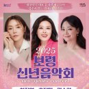 보령문화예술회관 대공연장 이미지