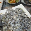 무안갯벌낙지 | 무안갯벌낙지7호점