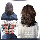 50대 여자 헤나염색 20년 단골 고객님 헤나머리 볼륨셋팅 파마 이미지