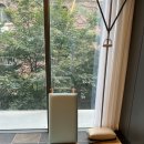 비필라테스&자이로토닉