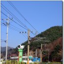 통리5일장 이미지