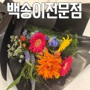 백송이&백만송이꽃집 | 인계동 24시 꽃집 백송이전문점 금액대 맞춰주는 꽃집 추천 내돈내산