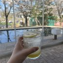 투비에이드 | 용인 벚꽃뷰 대형카페 ‘타임투비’ 추천 후기