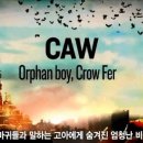 까마귀 필름 이미지