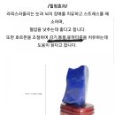 올리브내과의원 네이버블로그