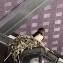 둥지농장2 이미지