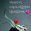 예쁜하루