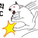 안추곤 이미지