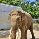 달성공원 동물병원 이미지