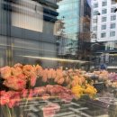 Flower늘봄