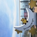 정선 가리왕산 케이블카 이미지