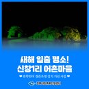 중1리 | [후기] 새해 일출 명소를 찾고 계신다면, 바로 이곳! 🌞 포항 신창 1리 어촌마을로 오세요!