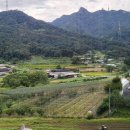 황방2리 이미지