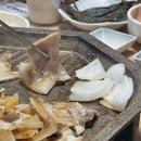 토성멧돼지가든