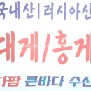 다팜수산