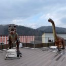 킹덤키즈 이미지