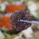 칠구네신림동백순대