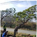 하늘빛농원 이미지