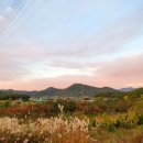 카페덕남 이미지