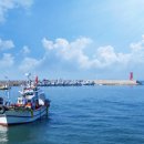 포도나무민박 이미지