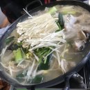 송재필 농장 네이버블로그