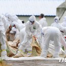 이상문농장 이미지