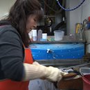 보람세탁 이미지