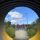 이천시내버스노동조합 | [🇳🇿D+4] 행운의 하루: 타우랑가 시티 구경, 도서관, 잡 인터뷰