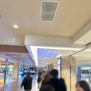 시사이벤트 후기 (롯데시네마 시사회 이벤트 후기/ 스포X/ 줄거리/ 개인적인 감상평, 후기/ 개봉 전...