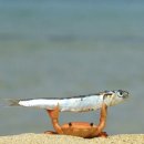 서초중앙로 85 (1) | 2026년 3월