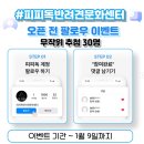 피피독 이미지