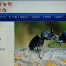 운용농장 네이버블로그