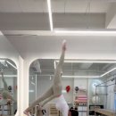 필라테스.피티.시도하다 이미지