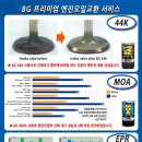 창일카마스타 이미지