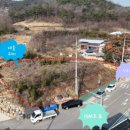 선산대로-60 네이버블로그