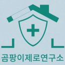 호반써밋스카이센트럴 줄눈시공_빅라이언 시공 후기