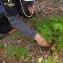 금산한국농장 이미지